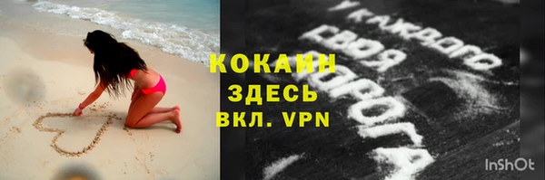 сатива Абинск