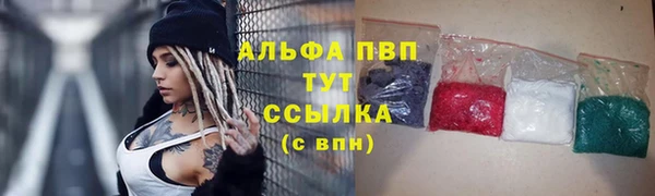 сатива Абинск