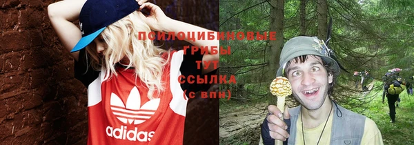 гидропоника Абаза