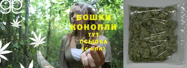 сатива Абинск