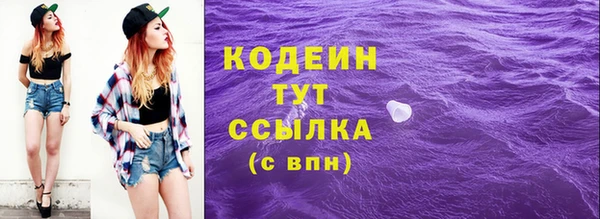 гидра Инсар