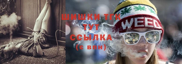 сатива Абинск