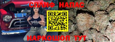 дмт Кинель